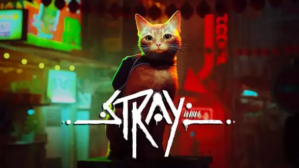 Stray : The first cat simulator with crazy realism!