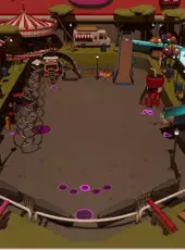 Roxy Raccoon's Pinball Panic: Paradise Parks