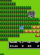 Dragon Warrior II