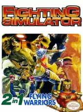 Fighting Simulator: 2-in-1 Flying Warriors