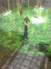 Neverwinter Nights