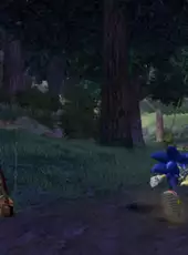 Sonic and the Black Knight