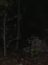 Paranormal Tales