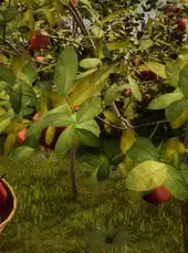 Orchard Simulator