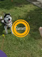Animal Trainer Simulator