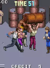 Double Dragon Advance