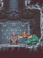 Owlboy
