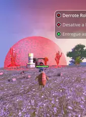 PoN!: The Armadillo Island