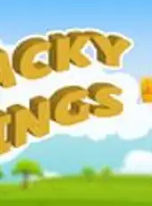 Wacky Wings VR
