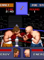 Evander Holyfield's Real Deal Boxing