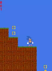 Sonic Robo Blast 2