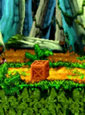 Crash Bandicoot: The Huge Adventure