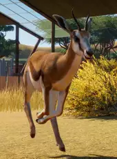 Planet Zoo