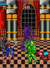 Arcade Archives: Castle of Dragon