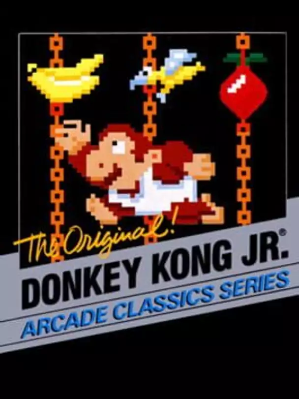 Donkey Kong Jr.