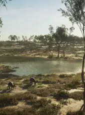 theHunter: Call of the Wild - Emerald Coast Australia