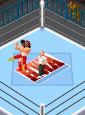 Super Fire Pro Wrestling 2