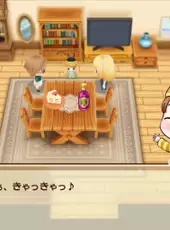 Story of Seasons: Friends of Mineral Town