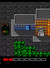 Teenage Mutant Ninja Turtles