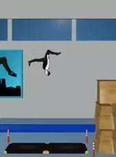 Backflip Madness