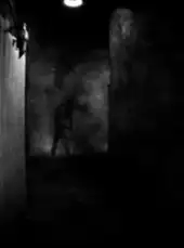 Insomnis Experiment