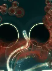 Fluid