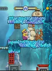 Wario Land: Shake It!