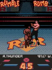 Ready 2 Rumble Boxing