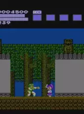 Flying Dragon: The Secret Scroll
