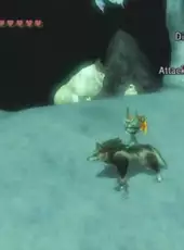 The Legend of Zelda: Twilight Princess