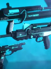 The Finals: Team Secret TGM25