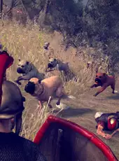 Total War: Rome II - Unit Pack: Beasts of War