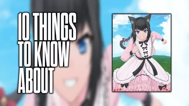10 things to know about Anime Catgirl Runner!
