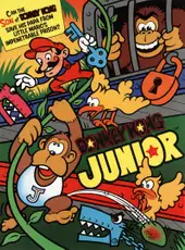 Donkey Kong Junior