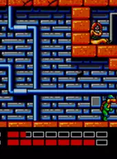 Teenage Mutant Ninja Turtles