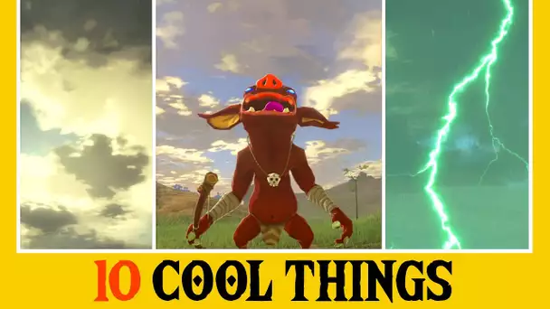 10 Cool Things - A Cinematic Look at Zelda: Breath of the Wild