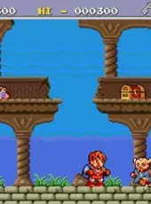 Legend of Hero Tonma