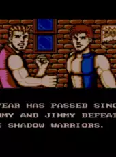 Double Dragon III: The Sacred Stones