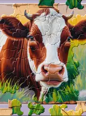 Master of Pieces Jigsaw Puzzle: Boarded Beauty