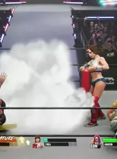 All Elite Wrestling: Fight Forever - Season Pass 2