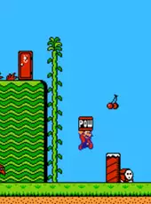 Super Mario Bros. 2