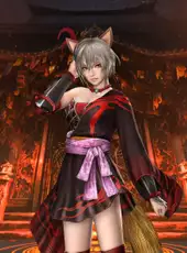 Warriors: Abyss - Dynasty Warriors Classic Costume Set