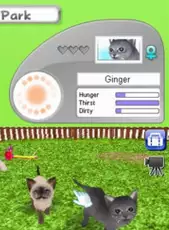 Petz Catz Clan