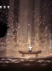 Hollow Knight: Godmaster