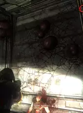 Collapse