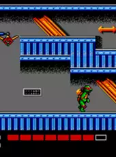 Teenage Mutant Ninja Turtles