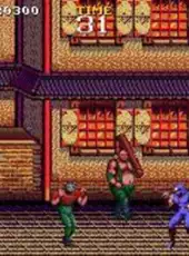 Ninja Gaiden