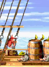 Donkey Kong Country 2