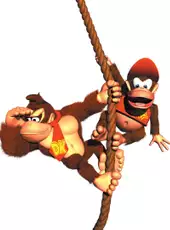 Donkey Kong Country