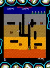 Arcade Game Series: Dig Dug
